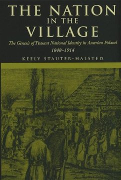 The Nation in the Village (eBook, PDF) - Stauter-Halsted, Keely