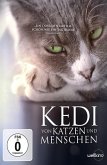 Kedi - Von Katzen und Menschen