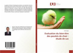 Evaluation du bien-être des poulets de chair : étude de cas - Jaajaa, Said