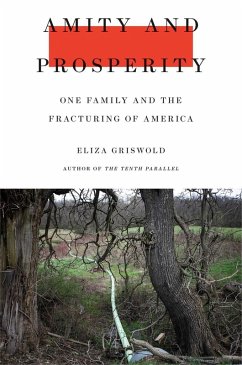 Amity and Prosperity (eBook, ePUB) - Griswold, Eliza