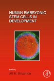 Human Embryonic Stem Cells in Development (eBook, ePUB)