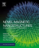 Novel Magnetic Nanostructures (eBook, ePUB)