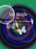 Mr. Bingle (eBook, ePUB)