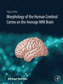 Atlas of the Morphology of the Human Cerebral Cortex on the Average MNI Brain (eBook, ePUB)