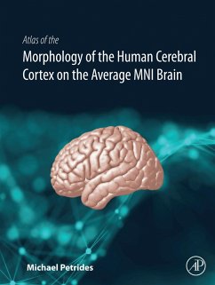 Atlas of the Morphology of the Human Cerebral Cortex on the Average MNI Brain (eBook, ePUB) - Petrides, Michael
