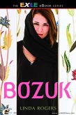 Bozuk (eBook, ePUB)