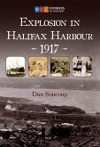 Explosion in Halifax Harbour, 1917 (eBook, ePUB)
