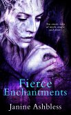 Fierce Enchantments (eBook, ePUB)