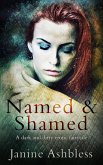 Named and Shamed (eBook, ePUB)