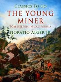 The Young Miner Tom Nelson In California (eBook, ePUB)