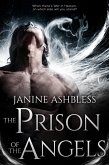 The Prison of the Angels (eBook, ePUB)
