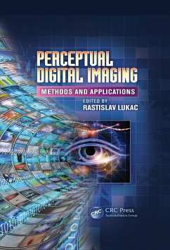 Perceptual Digital Imaging (eBook, ePUB)