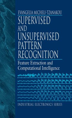 Supervised and Unsupervised Pattern Recognition (eBook, ePUB)