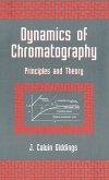 Dynamics of Chromatography (eBook, ePUB)