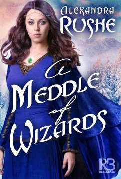 Cover Meddle of Wizards (eBook, ePUB)