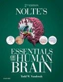 Nolte's Essentials of the Human Brain E-Book (eBook, ePUB)