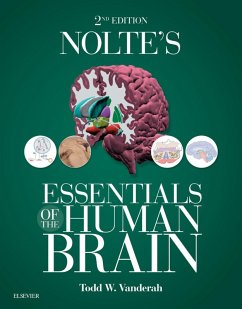 Cover Nolte's Essentials of the Human Brain E-Book (eBook, ePUB)