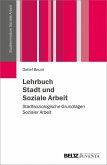 Lehrbuch Stadt und Soziale Arbeit (eBook, PDF)