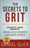 The Experts' Take On: The Secrets to Grit - Using Grit to Achieve Whatever You Want (eBook, ePUB)