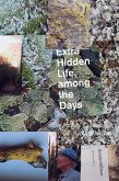 Extra Hidden Life, among the Days (eBook, ePUB)