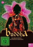 Buddha - Die Erleuchtung des Prinzen Siddharta - Box 2 (Folgen 12-22) DVD-Box