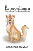 The Extraordinary Travels of Ferdinand Petit