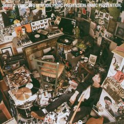 Panic Prevention (Vinyl) - Jamie T