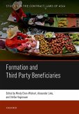 Formation and Third Party Beneficiaries (eBook, ePUB)