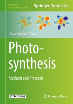 Cover Photosynthesis