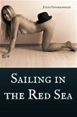 Sailing in the Red Sea (eBook, ePUB)