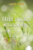 This Small Success (eBook, ePUB)