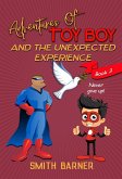 Adventures of Toy Boy and the Unexpected Experience (eBook, ePUB)