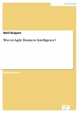 Was ist Agile Business Intelligence? (eBook, PDF)