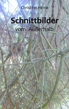 Schnittbilder - Heine, Christine