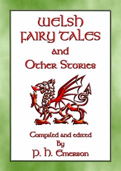 Welsh Fairy Tales And Other Stories (eBook, ePUB)