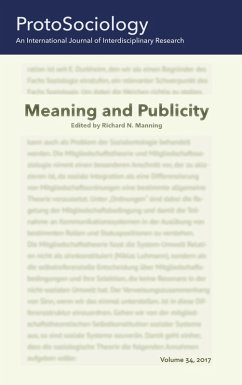 Meaning and Publicity (eBook, ePUB)