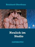 Neulich im Studio (eBook, ePUB)