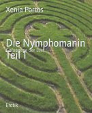 Die Nymphomanin Teil 1 (eBook, ePUB)