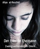 Der fremde Ehemann (eBook, ePUB)