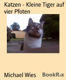 Katzen - Kleine Tiger auf vier Pfoten (eBook, ePUB)
