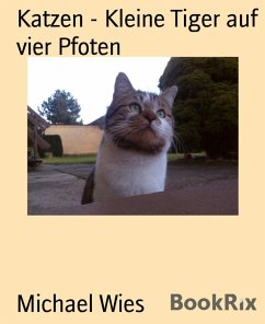Katzen - Kleine Tiger auf vier Pfoten (eBook, ePUB) - Wies, Michael