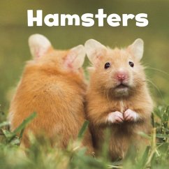 Hamsters - Amstutz, Lisa J.