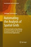 Automating the Analysis of Spatial Grids