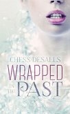Wrapped in the Past (eBook, ePUB)