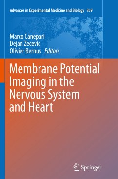 Membrane Potential Imaging in the Nervous System and Heart