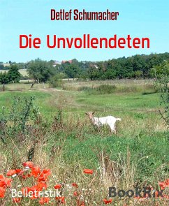 Die Unvollendeten (eBook, ePUB) - Schumacher, Detlef