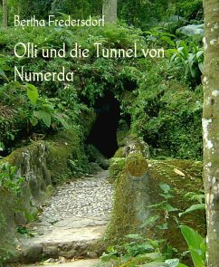 Cover Olli und die Tunnel von Numerda (eBook, ePUB)