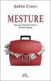 Mesture Mesture