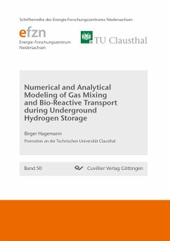 Numerical and Analytical Modeling of Gas Mixing and Bio-Reactive Transport during Underground Hydrogen Storage - Hagemann, Birger