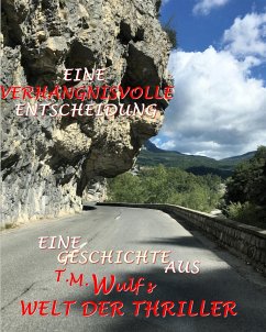 Eine verhängnisvolle Entscheidung (eBook, ePUB) - M. Wulf, T.